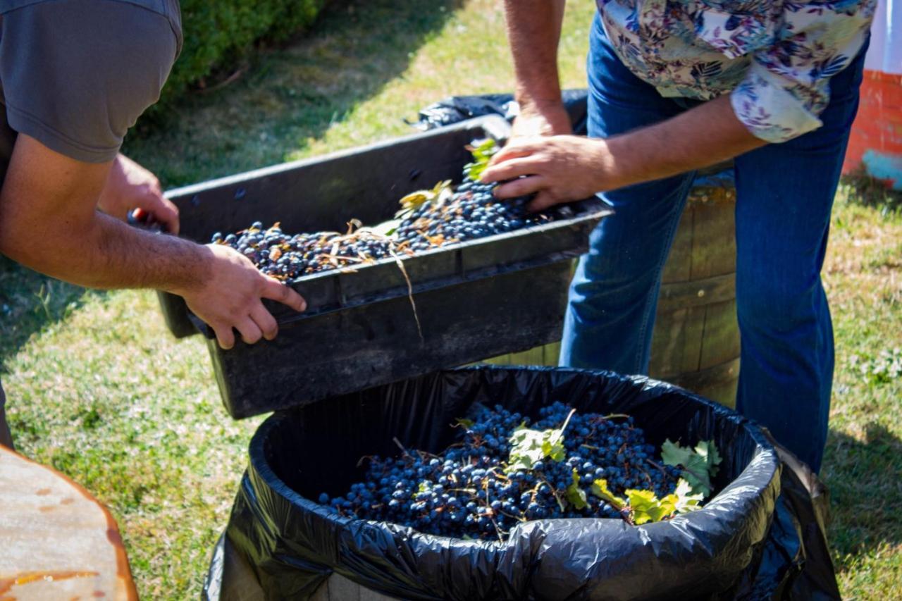 Todoroff Wine Residence Brestovica  エクステリア 写真